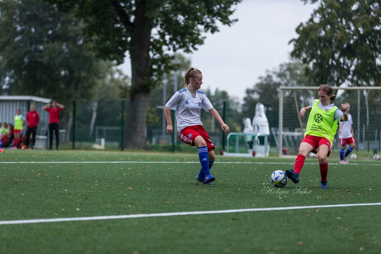 Bild 239 - C-Juniorinnen HSV - Walddoerfer : Ergebnis: 9:1